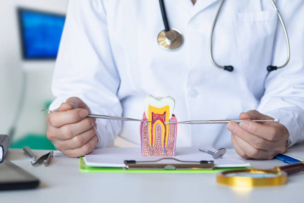 Best Emergency Treatment for Dental Infections or Abscesses in South Whittier, CA